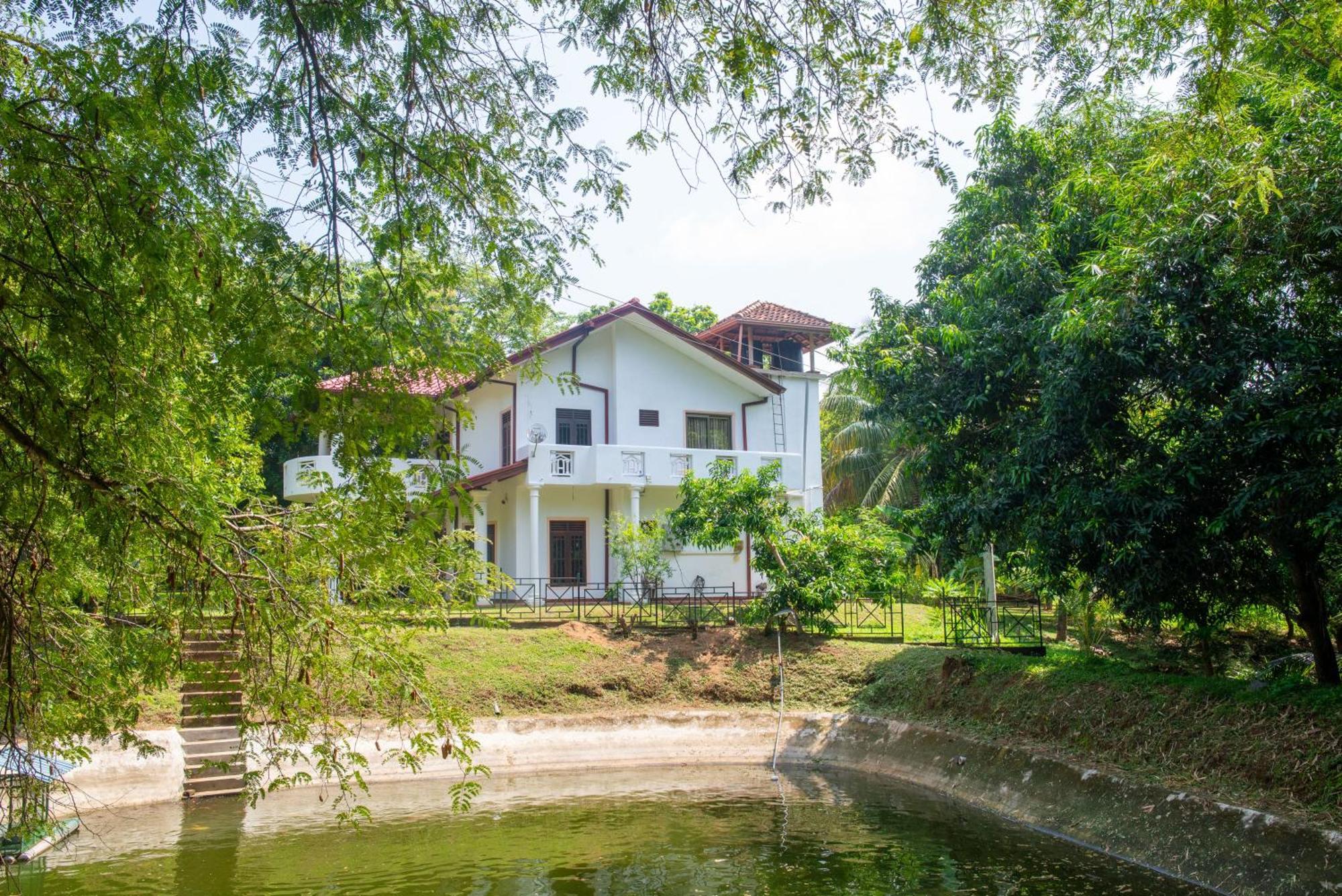 The Jungle Pearl Hotel Удавалаве Экстерьер фото