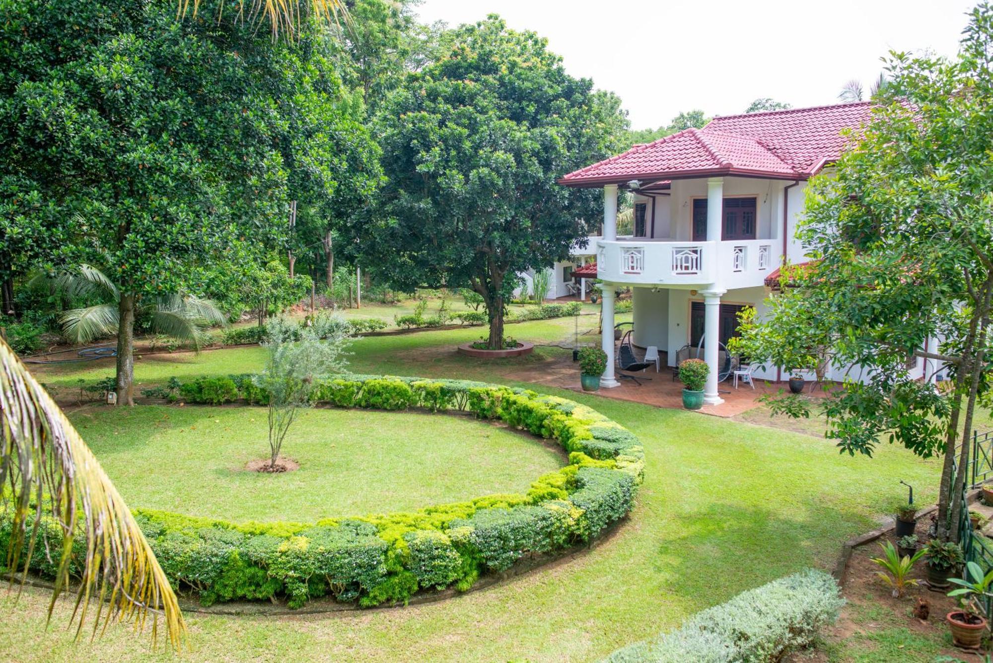 The Jungle Pearl Hotel Удавалаве Экстерьер фото